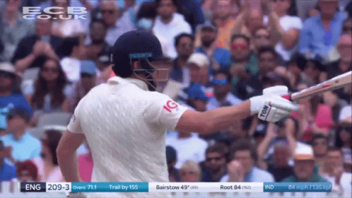 Jonny Bairstow Bat Raise GIF