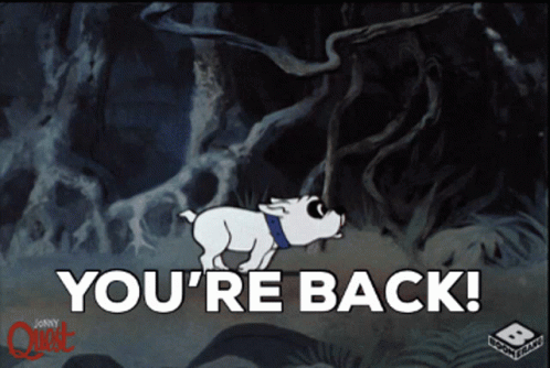 Jonny Quest Shes Back GIF