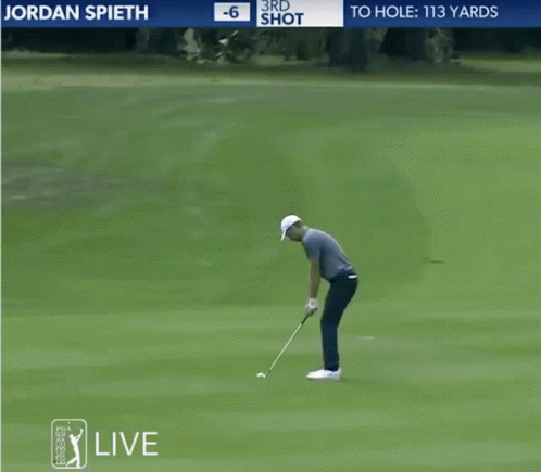 Jordan Spieth 3Rd Shot In The Woods GIF