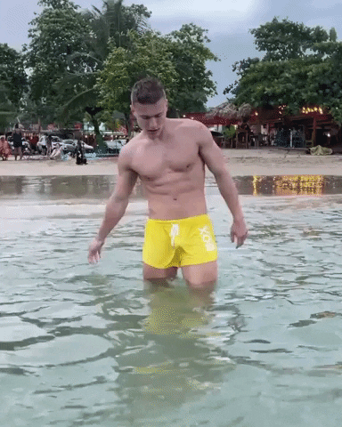 Jorts Beach Swimming GIF