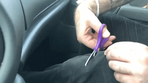 Jorts Cutting Inside The Car GIF