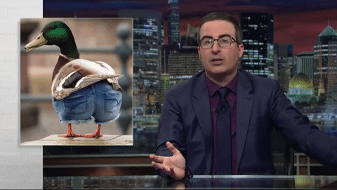 Jorts Duck Wears Shorts GIF