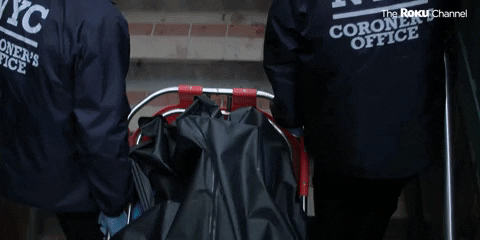 Jorts Office Games GIF