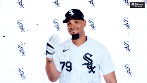 Jose Abreu Can't See Me GIF