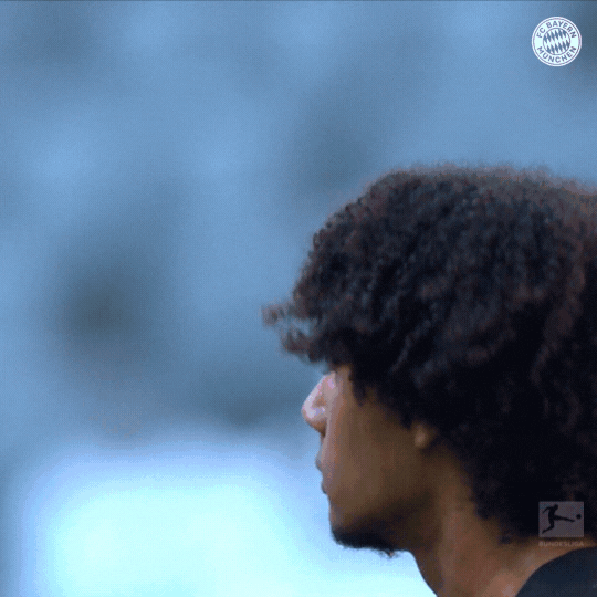 Joshua Zirkzee Impressive Debut GIF