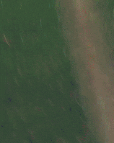 Joshua Zirkzee Unwavering Focus GIF