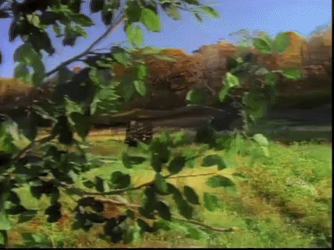 Joyful Mazel Tov Finally On Your Way GIF