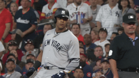 Juan Soto Of New York Yankees Win GIF