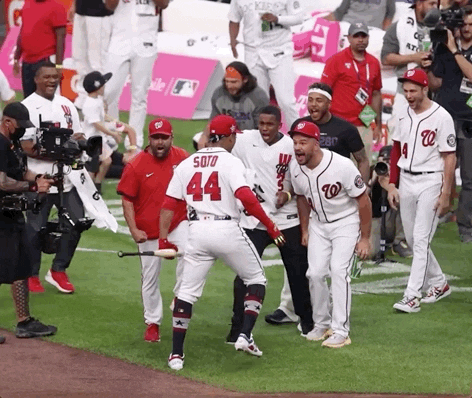 Juan Soto Squabble GIF