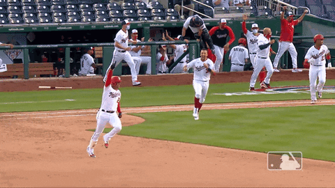 Juan Soto Washington Nationals GIF