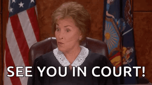 Judge American Flag Says See You In Court GIF