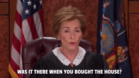 Judge Judy Interrogating Court Witness GIF