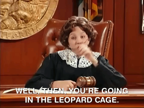 Judge Well Then You're Going Leopard Cage GIF