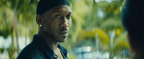 Judging And Walk Away GIF