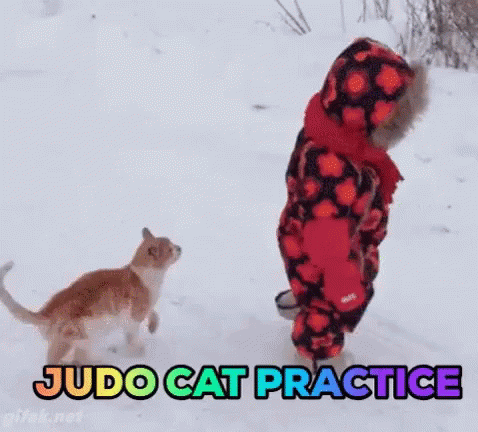 Judo Cat Jumps On Baby GIF