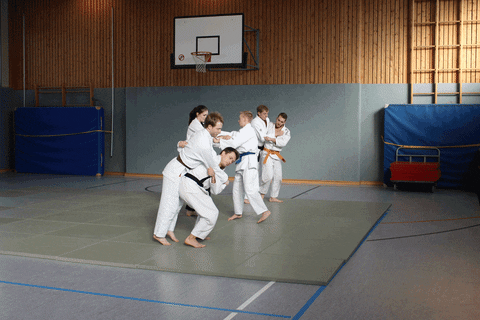 Judo Chop Class Training GIF