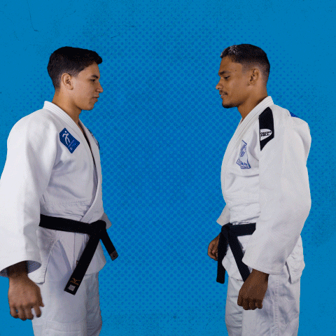 Judo Chop Partners Hand Shake GIF