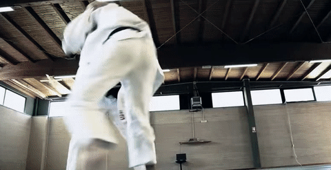 Judo Chop Waist Grabbing GIF