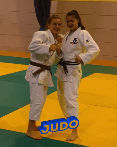 Judo Chop Women Partners GIF