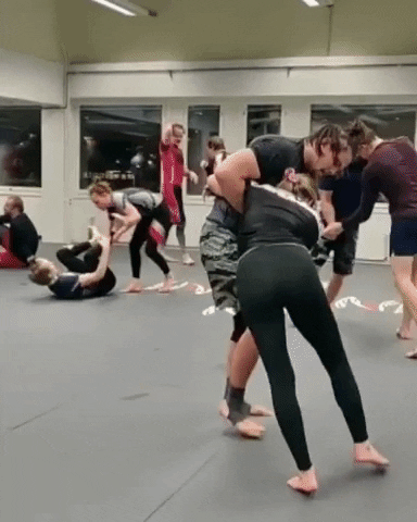 Judo Grappling GIF