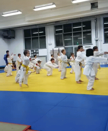 Judo Kids Squat GIF