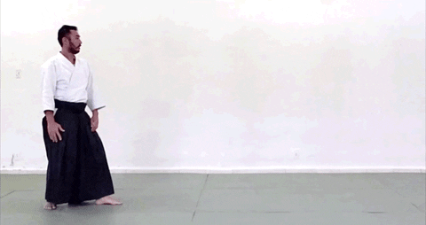 Judo Master Tumbling GIF