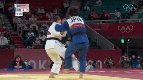 Judo Michaela Polleres Chizuru Arai GIF