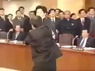 Judo Politics GIF