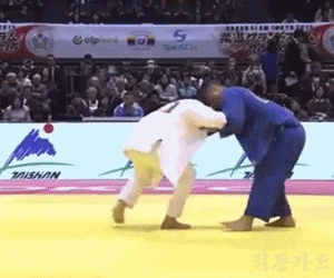 Judo Reverse Pin GIF
