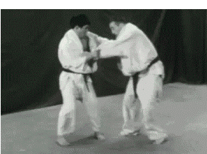 Judo Throw Fail GIF