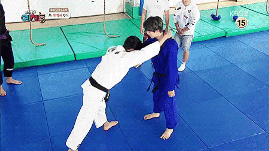 judo-throw-korean-idol-ikblr25qn49rvsf8.gif