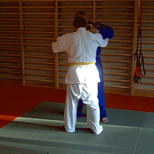 Judo Trip Throw Ashi Guruma GIF