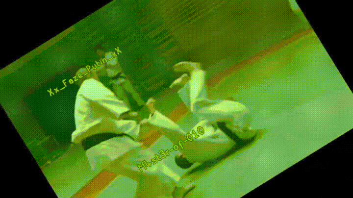 Judo Winning Throw GIF