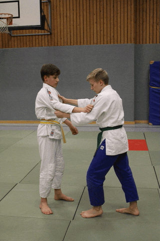 Judo Wrist Throw Down GIF