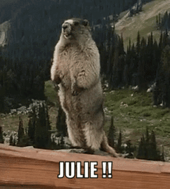 Juliiie Julie Gif GIF