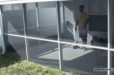 Jump Out Window 372 X 246 Gif GIF