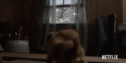 Furry Dog Jump Out Window GIF