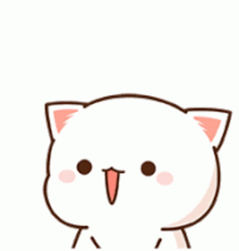 Jumping Baby Cat Sticker GIF