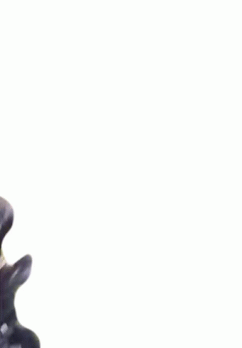 Jumping Dog Laughing GIF