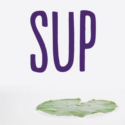 Jumping Frog Says Sup GIF