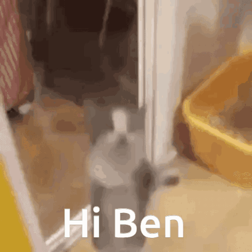 Jumping Happy Cat Says Hi Uncle Ben GIF