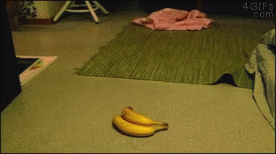 Jumping In Surprise Banana Cat Meme GIF