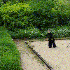 Jumping Jumping In A Bush Gif GIF