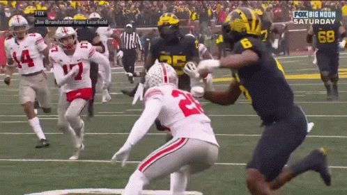 Jumping Michigan Wolverines GIF