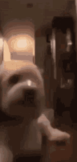 Jumpscare Funny Dog Throw GIF