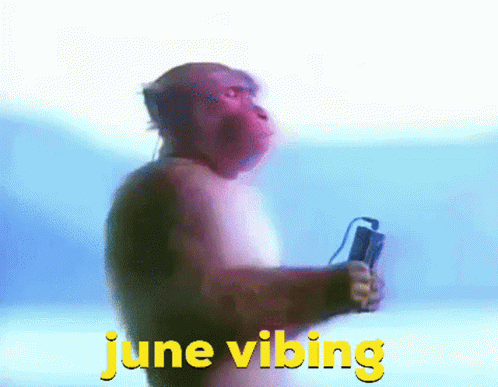 June Vibing Monkey GIF