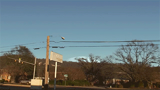 Jupiter View From Earth GIF