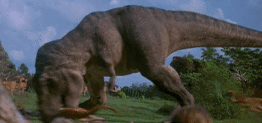Jurassic Park T-rex Attack Gallimimus GIF