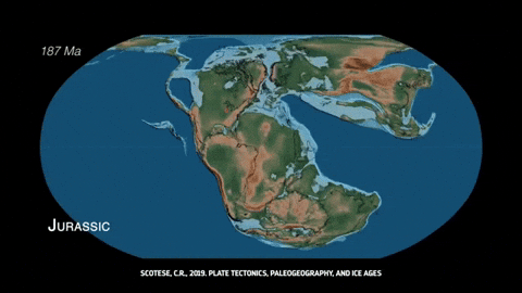 Jurassic Tectonics Pangea GIF