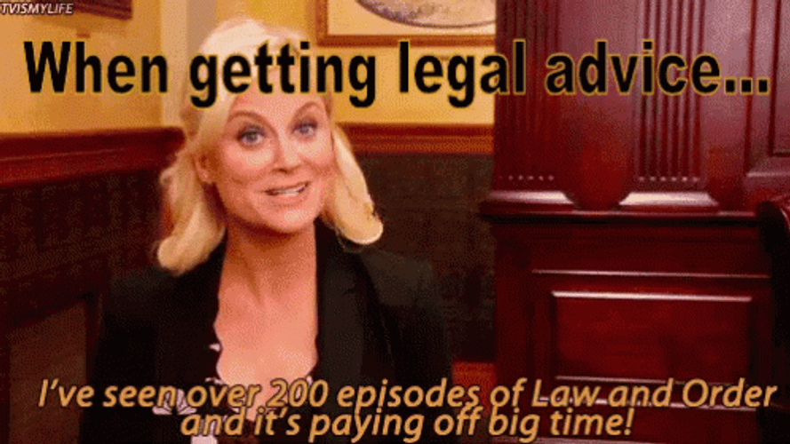 Jury Duty Amy Poehler Legal Advice GIF